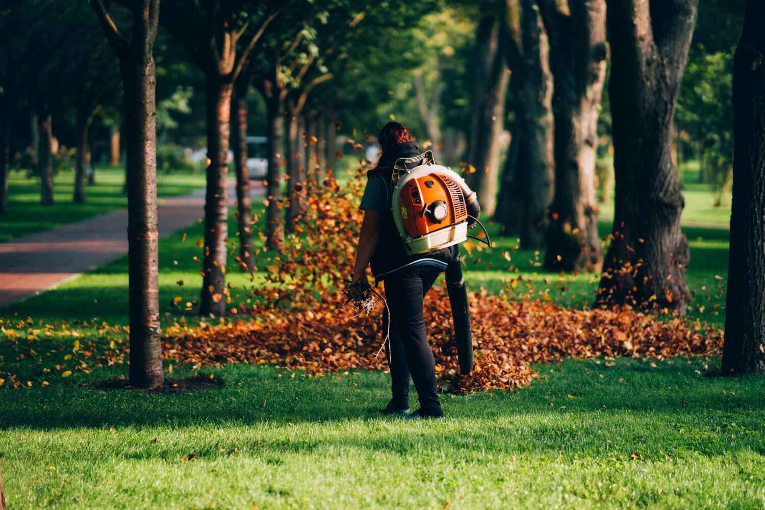 Best Local Tree Services  in Hubbard, OR